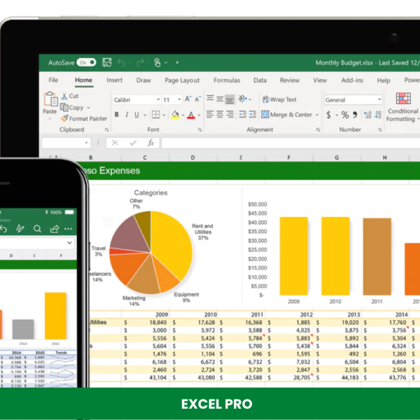 Excel Pro Training