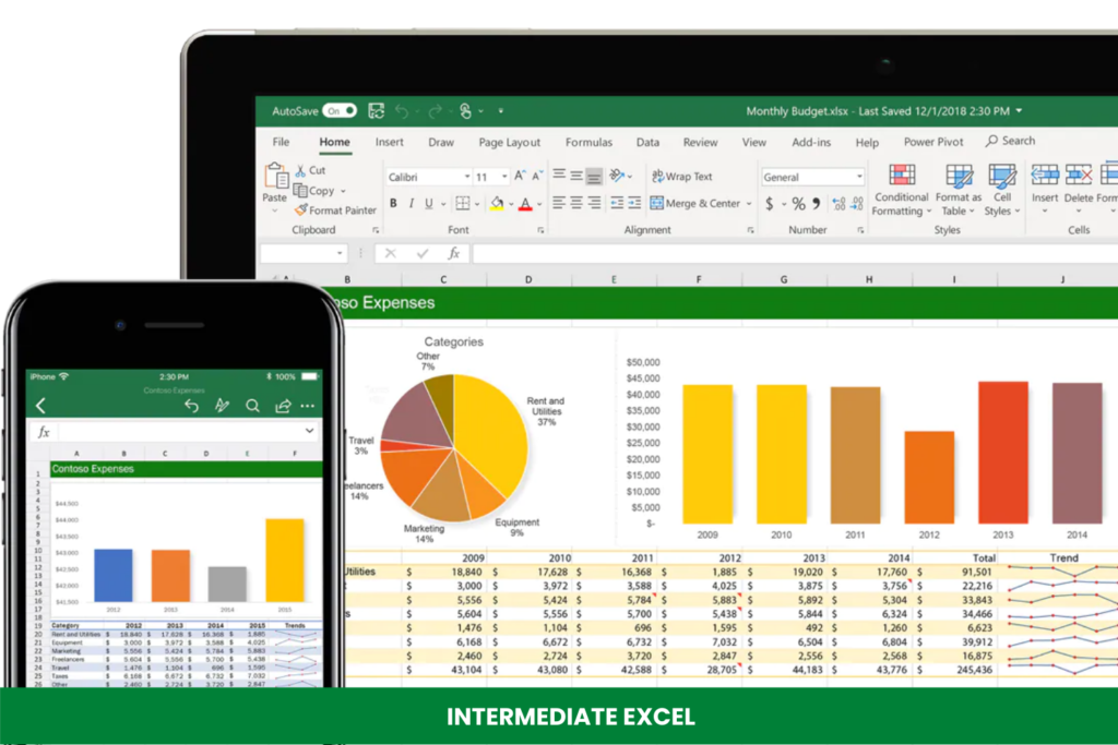 Intermediate Excel